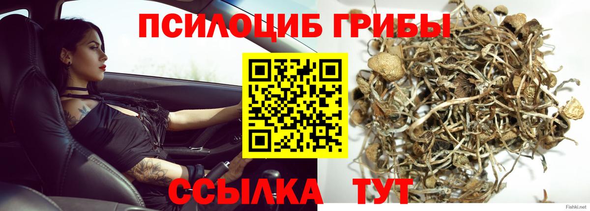 Псилоцибиновые грибы прущие грибы  Псилоцибиновые грибы ЛСД  Великие Луки  Вход с VPN 